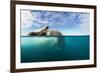 Walrus, Svalbard, Norway-Paul Souders-Framed Photographic Print