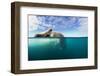 Walrus, Svalbard, Norway-Paul Souders-Framed Photographic Print