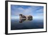 Walrus, Svalbard, Norway-null-Framed Photographic Print