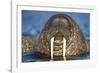 Walrus Swimming Near Tiholmane Island-Paul Souders-Framed Photographic Print