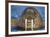 Walrus Swimming Near Tiholmane Island-Paul Souders-Framed Photographic Print