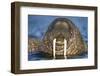 Walrus Swimming Near Tiholmane Island-Paul Souders-Framed Photographic Print