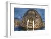 Walrus Swimming Near Tiholmane Island-Paul Souders-Framed Photographic Print