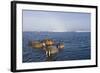 Walrus Swimming Off Shore at Tiholmane Island-Paul Souders-Framed Photographic Print