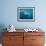 Walrus Swimming Underwater Near Tiholmane Island-Paul Souders-Framed Photographic Print displayed on a wall