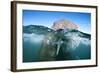 Walrus Swimming-Paul Souders-Framed Photographic Print
