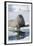 Walrus Testing the Water with a Flipper-DLILLC-Framed Photographic Print