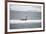 Walrus-DLILLC-Framed Photographic Print