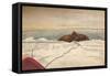 'Walruses Killed Off The East Coast of the Taimyr Peninsula, 12th September 1893, (1897)-Fridtjof Nansen-Framed Stretched Canvas