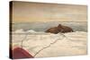 'Walruses Killed Off The East Coast of the Taimyr Peninsula, 12th September 1893, (1897)-Fridtjof Nansen-Stretched Canvas