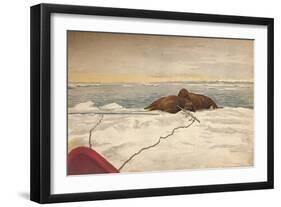 'Walruses Killed Off The East Coast of the Taimyr Peninsula, 12th September 1893, (1897)-Fridtjof Nansen-Framed Giclee Print