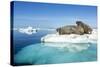 Walruses on Iceberg, Hudson Bay, Nunavut, Canada-Paul Souders-Stretched Canvas