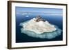 Walruses on Iceberg, Hudson Bay, Nunavut, Canada-Paul Souders-Framed Photographic Print