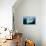 Walruses on Iceberg, Hudson Bay, Nunavut, Canada-Paul Souders-Photographic Print displayed on a wall