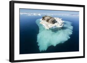 Walruses on Iceberg, Hudson Bay, Nunavut, Canada-Paul Souders-Framed Photographic Print