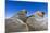 Walruses on Iceberg, Hudson Bay, Nunavut, Canada-Paul Souders-Mounted Photographic Print