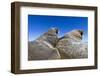 Walruses on Iceberg, Hudson Bay, Nunavut, Canada-Paul Souders-Framed Photographic Print