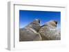 Walruses on Iceberg, Hudson Bay, Nunavut, Canada-Paul Souders-Framed Photographic Print