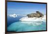 Walruses on Iceberg, Hudson Bay, Nunavut, Canada-Paul Souders-Framed Photographic Print