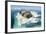 Walruses on Iceberg, Hudson Bay, Nunavut, Canada-Paul Souders-Framed Photographic Print