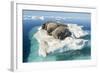 Walruses on Iceberg, Hudson Bay, Nunavut, Canada-Paul Souders-Framed Photographic Print