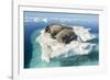 Walruses on Iceberg, Hudson Bay, Nunavut, Canada-Paul Souders-Framed Photographic Print