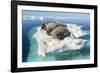 Walruses on Iceberg, Hudson Bay, Nunavut, Canada-Paul Souders-Framed Photographic Print