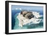 Walruses on Iceberg, Hudson Bay, Nunavut, Canada-Paul Souders-Framed Photographic Print