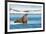 Walruses on Spitsbergen-Inge Jansen-Framed Photographic Print