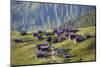 Walser Village in the Swiss Canton of Grisons-Armin Mathis-Mounted Photographic Print