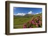 Walser Village in the Swiss Canton of Grisons-Armin Mathis-Framed Photographic Print