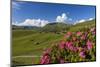 Walser Village in the Swiss Canton of Grisons-Armin Mathis-Mounted Photographic Print