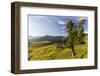 Walser Village in the Swiss Canton of Grisons-Armin Mathis-Framed Photographic Print