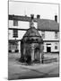 Walsingham Water Pump-Fred Musto-Mounted Photographic Print