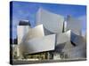 Walt Disney Concert Hall, Los Angeles, California, United States of America, North America-Richard Cummins-Stretched Canvas