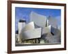 Walt Disney Concert Hall, Los Angeles, California, United States of America, North America-Richard Cummins-Framed Photographic Print