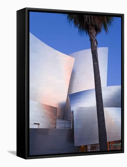 Walt Disney Concert Hall, Los Angeles, California, United States of America, North America-Richard Cummins-Framed Stretched Canvas