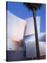 Walt Disney Concert Hall, Los Angeles, California, United States of America, North America-Richard Cummins-Stretched Canvas