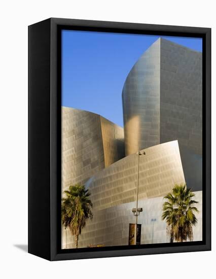 Walt Disney Concert Hall, Los Angeles, California, United States of America, North America-Richard Cummins-Framed Stretched Canvas