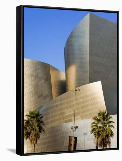 Walt Disney Concert Hall, Los Angeles, California, United States of America, North America-Richard Cummins-Framed Stretched Canvas