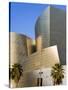 Walt Disney Concert Hall, Los Angeles, California, United States of America, North America-Richard Cummins-Stretched Canvas