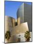 Walt Disney Concert Hall, Los Angeles, California, United States of America, North America-Richard Cummins-Mounted Premium Photographic Print