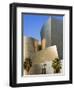 Walt Disney Concert Hall, Los Angeles, California, United States of America, North America-Richard Cummins-Framed Photographic Print