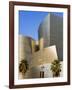 Walt Disney Concert Hall, Los Angeles, California, United States of America, North America-Richard Cummins-Framed Photographic Print