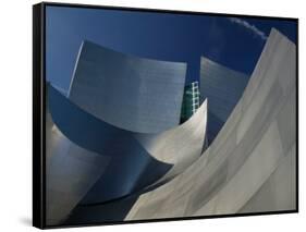 Walt Disney Concert Hall, Los Angeles, California, USA-Walter Bibikow-Framed Stretched Canvas