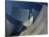 Walt Disney Concert Hall, Los Angeles, California, USA-Walter Bibikow-Stretched Canvas