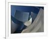 Walt Disney Concert Hall, Los Angeles, California, USA-Walter Bibikow-Framed Photographic Print