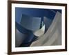 Walt Disney Concert Hall, Los Angeles, California, USA-Walter Bibikow-Framed Photographic Print