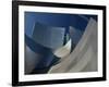 Walt Disney Concert Hall, Los Angeles, California, USA-Walter Bibikow-Framed Photographic Print