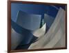 Walt Disney Concert Hall, Los Angeles, California, USA-Walter Bibikow-Framed Photographic Print